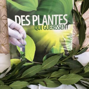 Des plantes qui guérissent